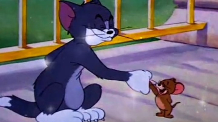 试图追赶过你 但山鸟与鱼不同路.