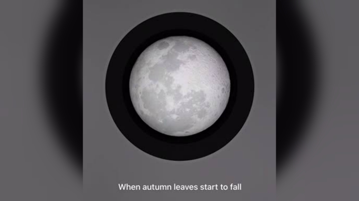 【Jusley·老贾】Autumn Leaves