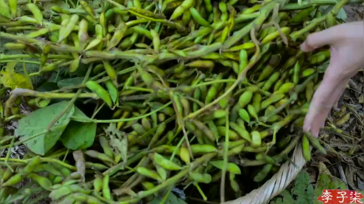 【美食】李子柒liziqi的精彩时刻 20210213 19点场