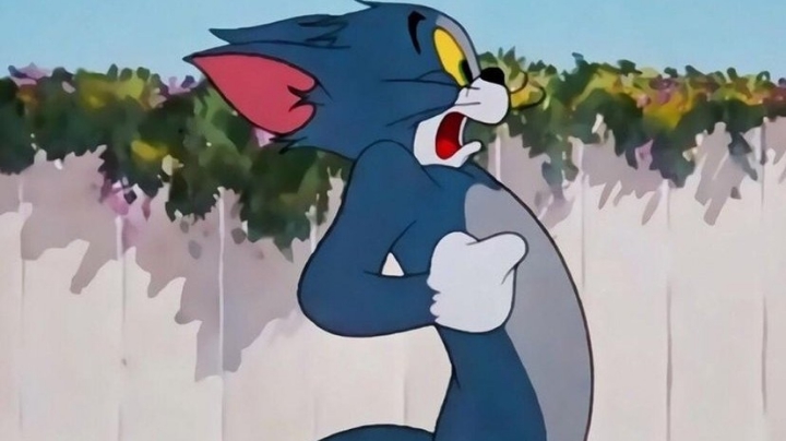 猫和老鼠：大号打猫了