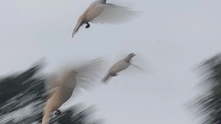 俗事难料，舒眉一笑。