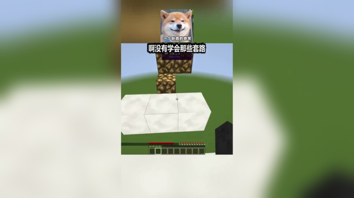 我的世界水友图大冒险