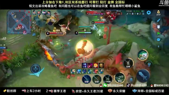 狗飞阿古朵