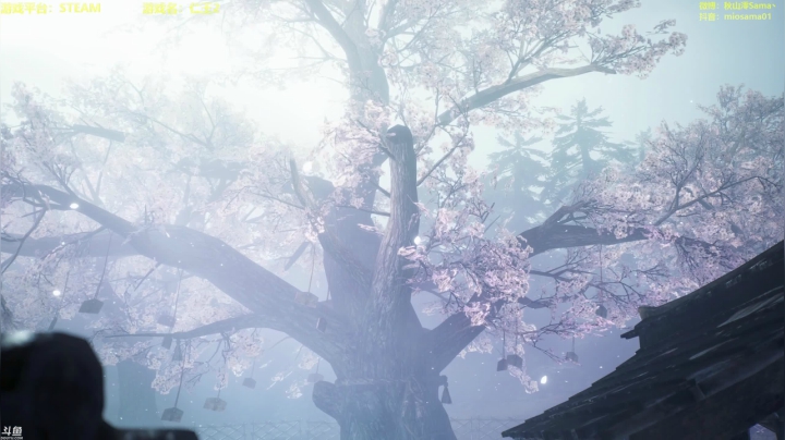 【2021-02-13 23点场】主播秋山澪丶：仁王2steam版高清2K60帧