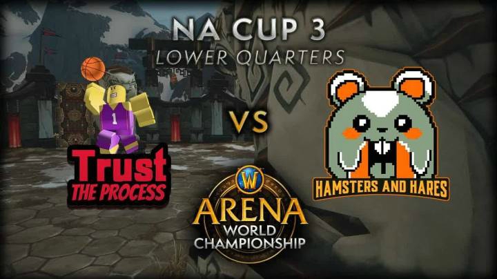 【2021 AWC 魔兽世界竞技场锦标赛】Trust the Process vs Hamsters & Hares