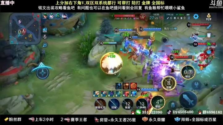 狗飞阿古朵