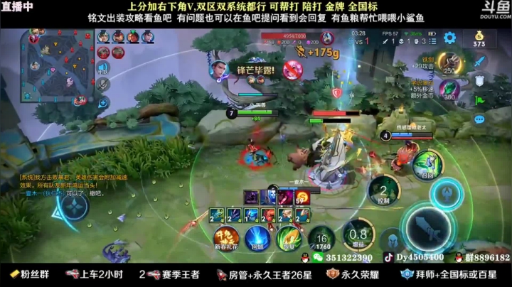狗飞阿古朵
