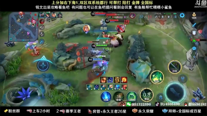 狗飞阿古朵