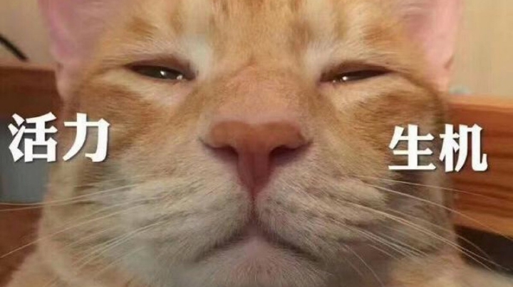 录像