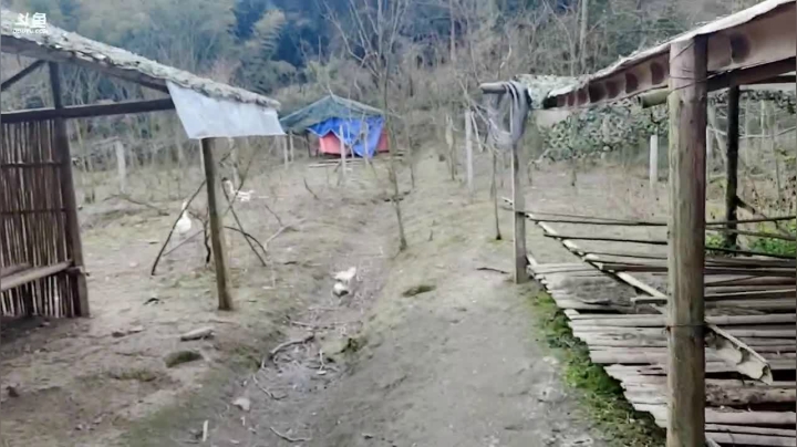 【2021-02-17 11点场】逐梦兄弟：十点不见不散