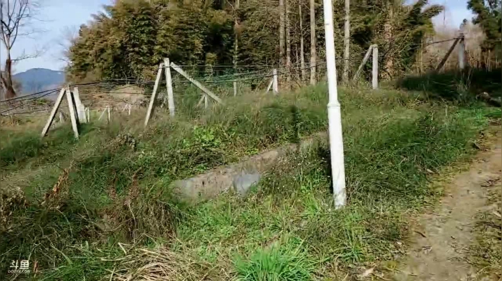 【2021-02-17 09点场】逐梦兄弟：十点不见不散