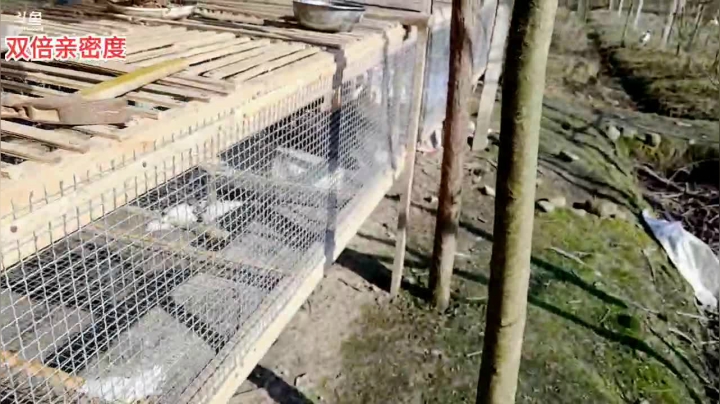 【2021-02-18 09点场】逐梦兄弟：十点不见不散