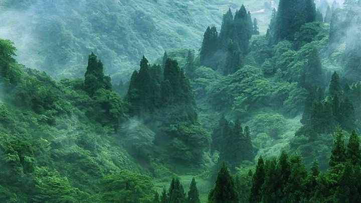 游戏时间到了