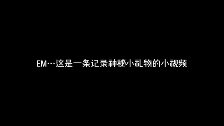 这是一条记录神秘小礼物的小视频......