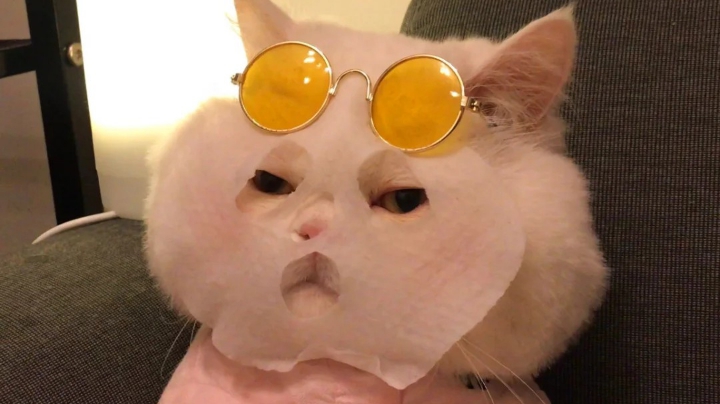 莫得感情