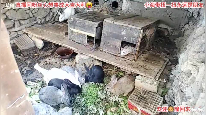 【户外】许文强户外的精彩时刻 20210220 16点场