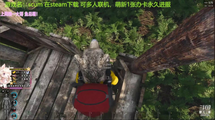 【2021-02-16 20点场】迦南的喃喃呀：2021大家都要钱多多，长肉肉