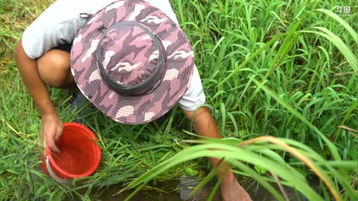 我在斗鱼看YESHI小哥直播美食