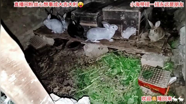 【户外】许文强户外的精彩时刻 20210220 00点场