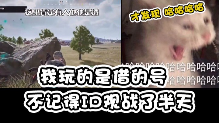 我玩的是借的号 不记得ID观战了半天……才发现 哈哈哈哈