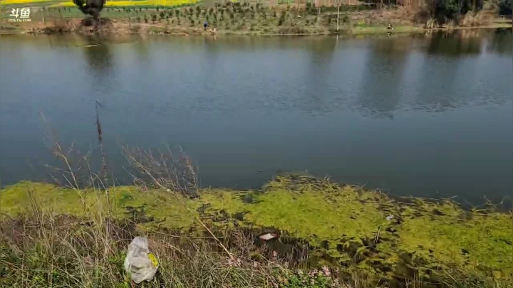 【2021-02-20 12点场】叶子户外：今年规划去新疆