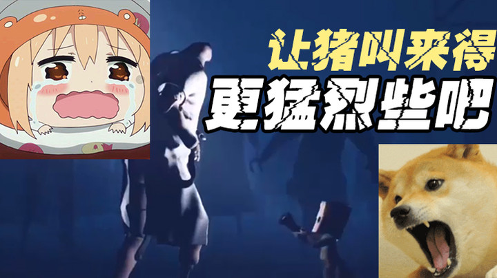 【一条小团团】让猪叫来得更猛烈些吧！！