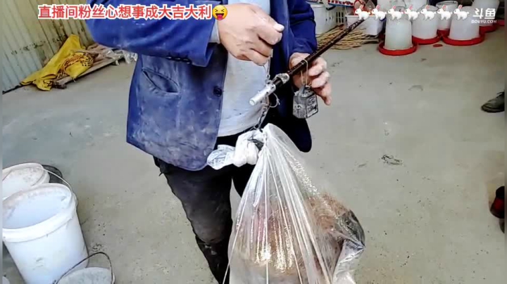 【户外】许文强户外的精彩时刻 20210221 13点场