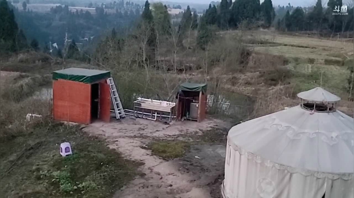 点赞