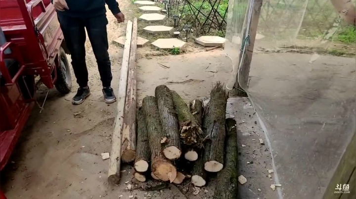 【2021-02-22 13点场】川味箩卜：买一批小动物
