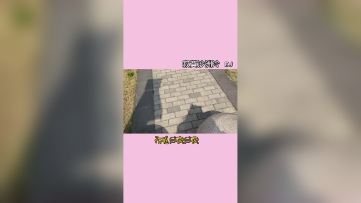 举起你的双手