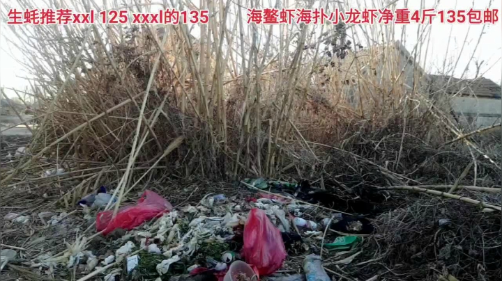 【户外】威海高哥587997的精彩时刻 20210222 16点场