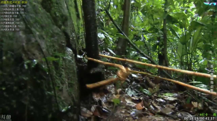 【科普】酷炫你你你的精彩时刻 20210222 10点场