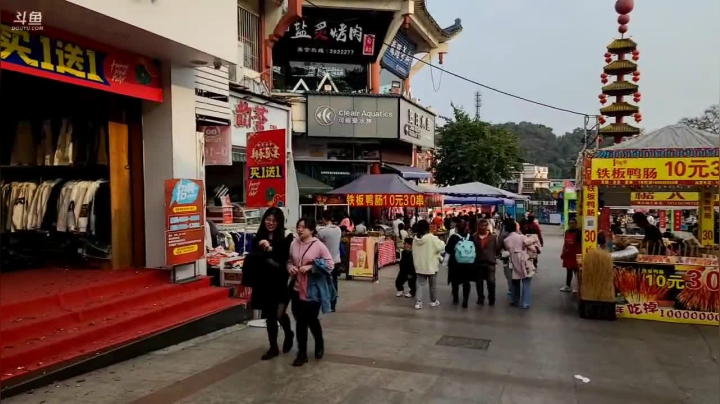 【2021-02-22 16点场】叶子户外：自贡灯会开场恐龙博物馆