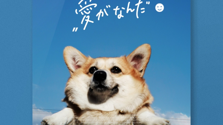 战德2