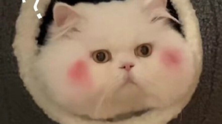 小牧师成长之路……