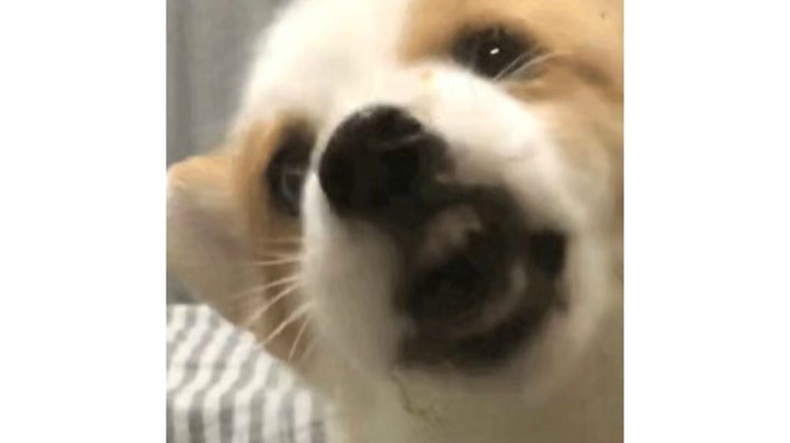 冲