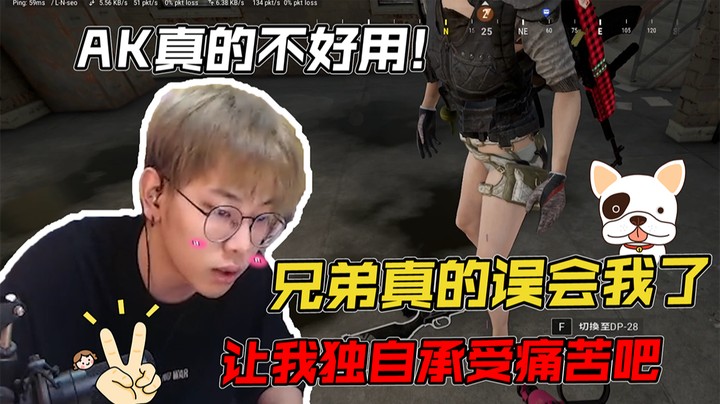 大盘鸡这把枪真的比AK好用，不骗人