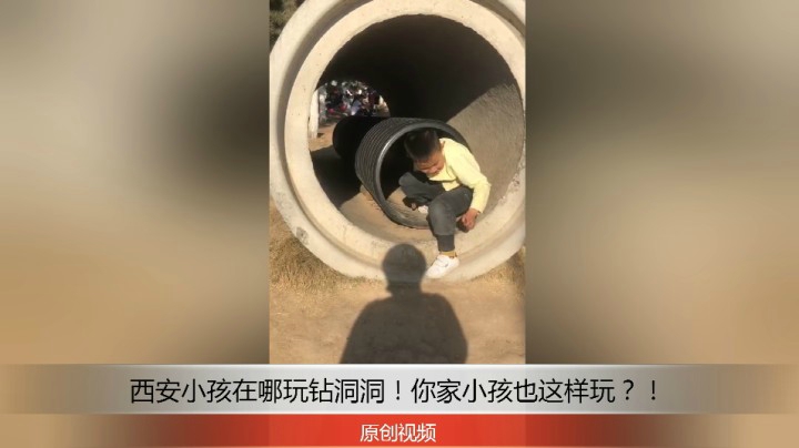 分享备用：西安直播——西安小孩在湿地公园玩钻洞洞！你家小孩也这样？