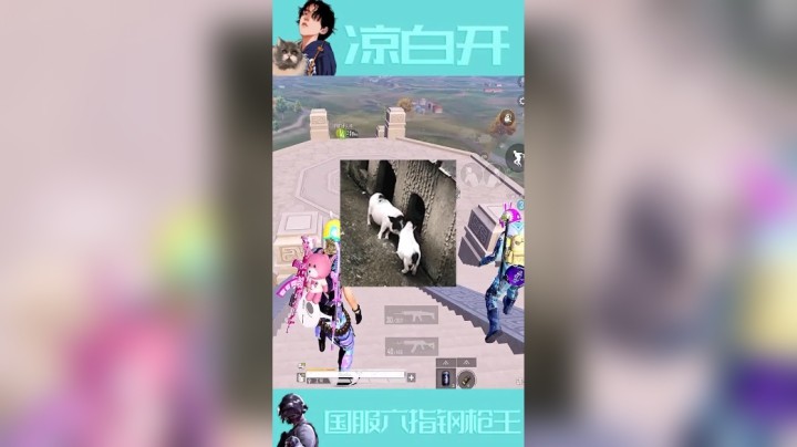 不懂就问，驴是怎么叫的家人们