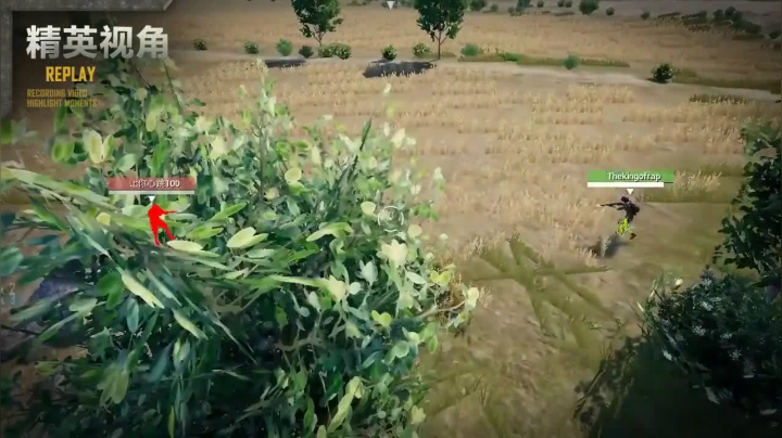 维音帝神