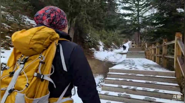 【户外】叶子户外的精彩时刻 20210225 11点场