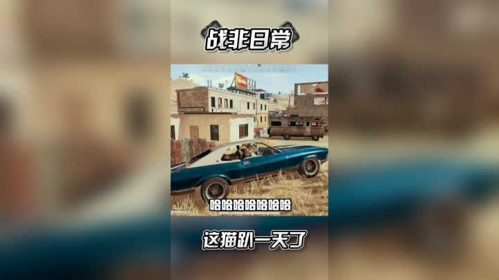 这猫真的有毒吧！