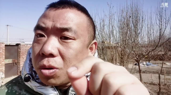 一条蛇服务