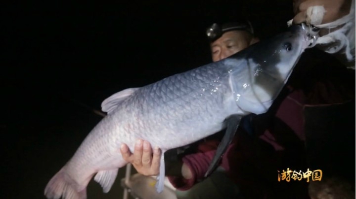 《游钓中国1》第48集 浙水寻青