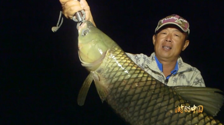 《游钓中国1》第51集 逆风候草鲤