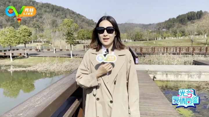 第三十三周光谷爱情图鉴0225