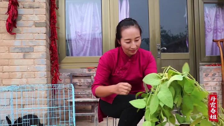 《漂亮娘们儿美食记》151_五香毛豆，春姐教你在家做，简单易学，大人小孩都爱吃，值得收藏