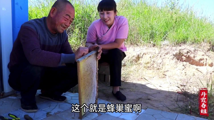 《漂亮娘们儿美食记》159_农村养蜂大叔说出，山花、槐花、荞麦蜜怎么辨认真假，学到就赚了