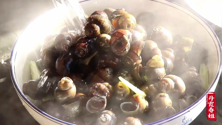 《漂亮娘们儿美食记》127_秋收累了，磊哥买田螺犒劳大家，春姐做麻辣味，大家嗦汁吃肉过瘾