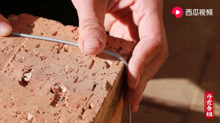 《漂亮娘们儿美食记》356_西北人吃红柳烤肉，一只羊腿只穿几串，20分钟后一口肉来一口酒